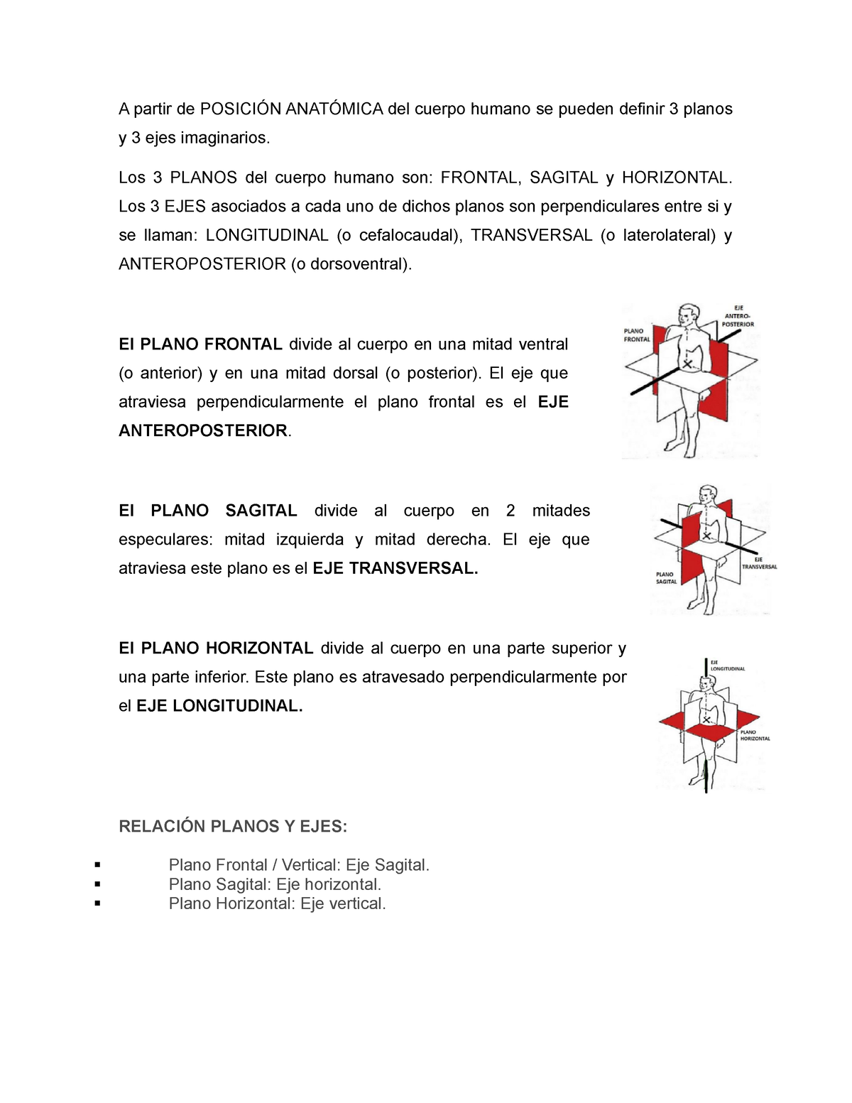 eje longitudinal del cuerpo