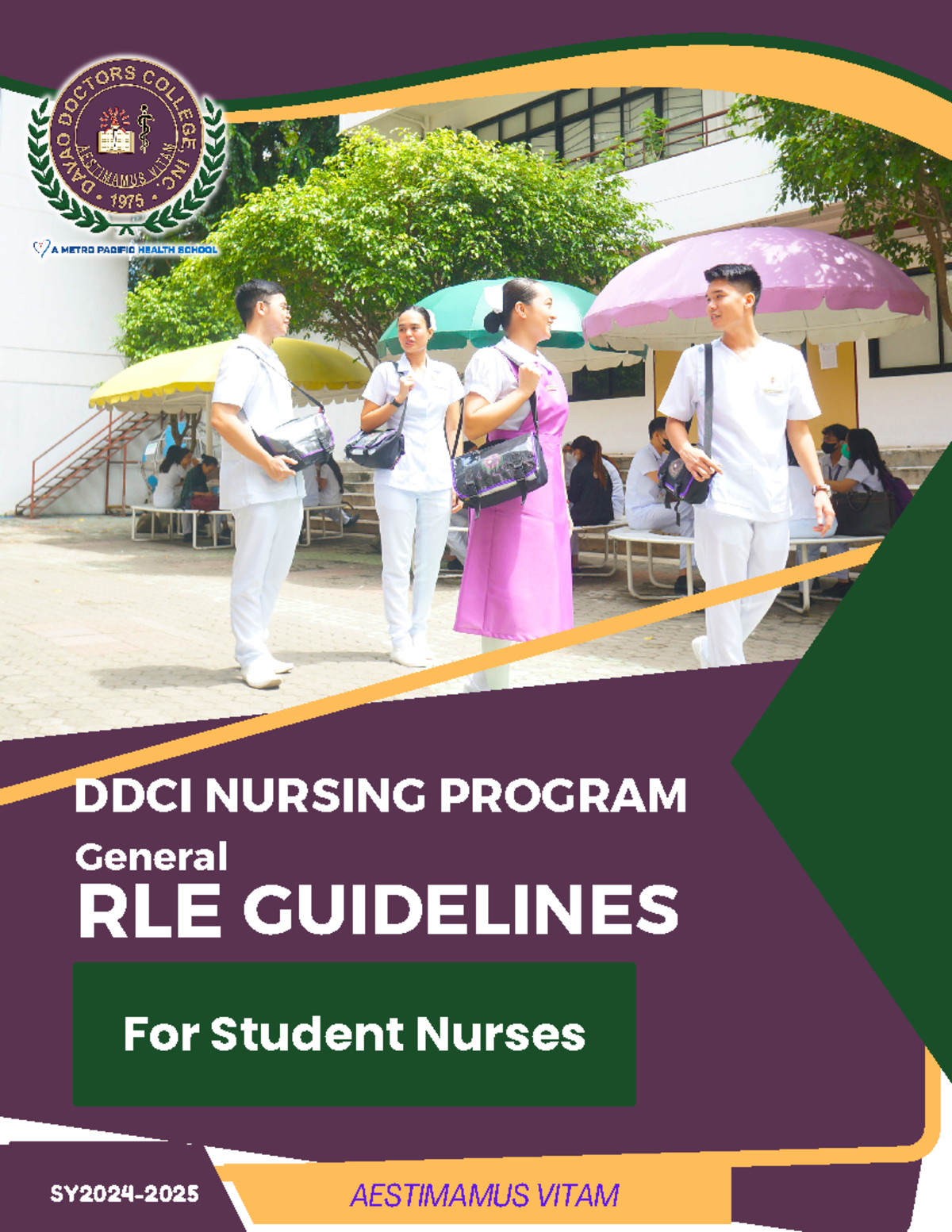 FOR Students-DDC Nursing General RLE Guidelines Booklet 2024 - For ...