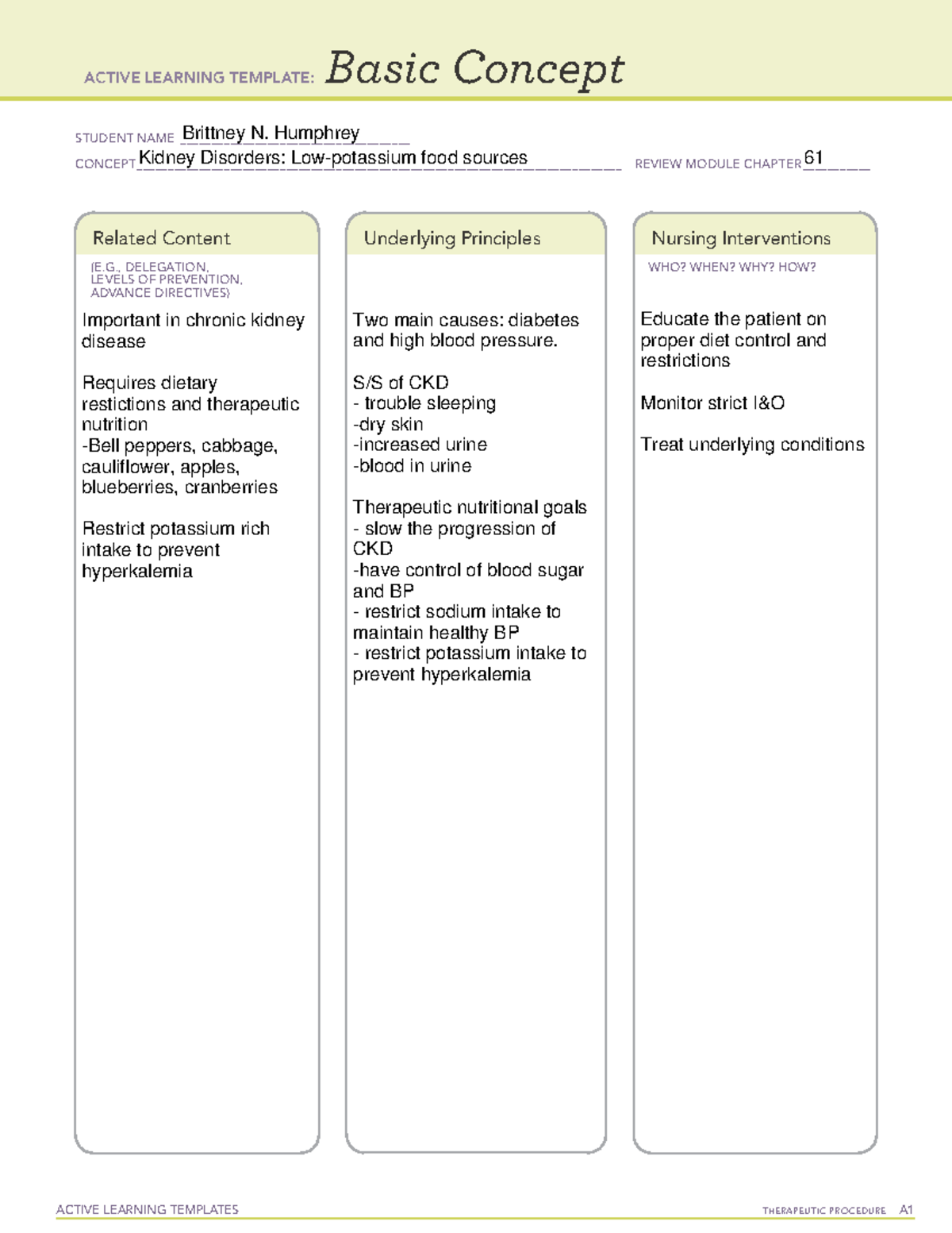 Temp 1 - Med Surg ATI - 101 - ACTIVE LEARNING TEMPLATES TherapeuTic ...