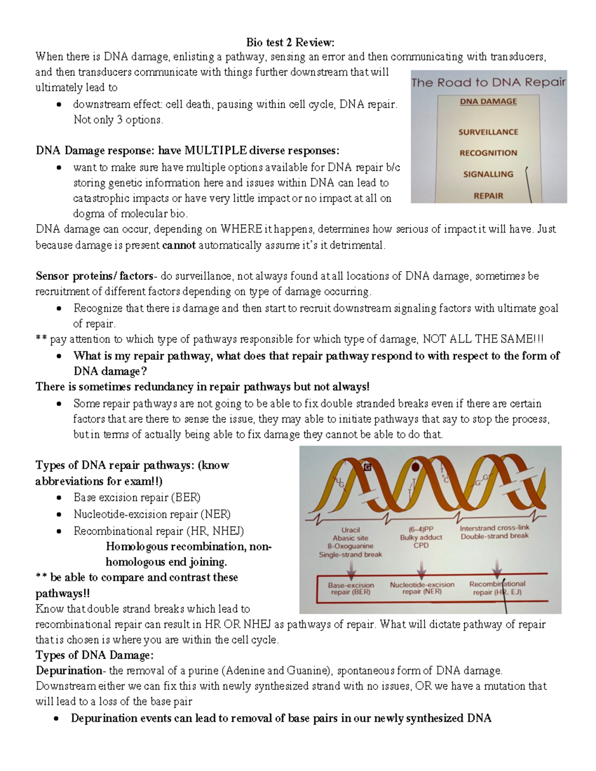 Bio 102 test 2 Review - Lecture notes 5-10 - Bio test 2 Review: When ...