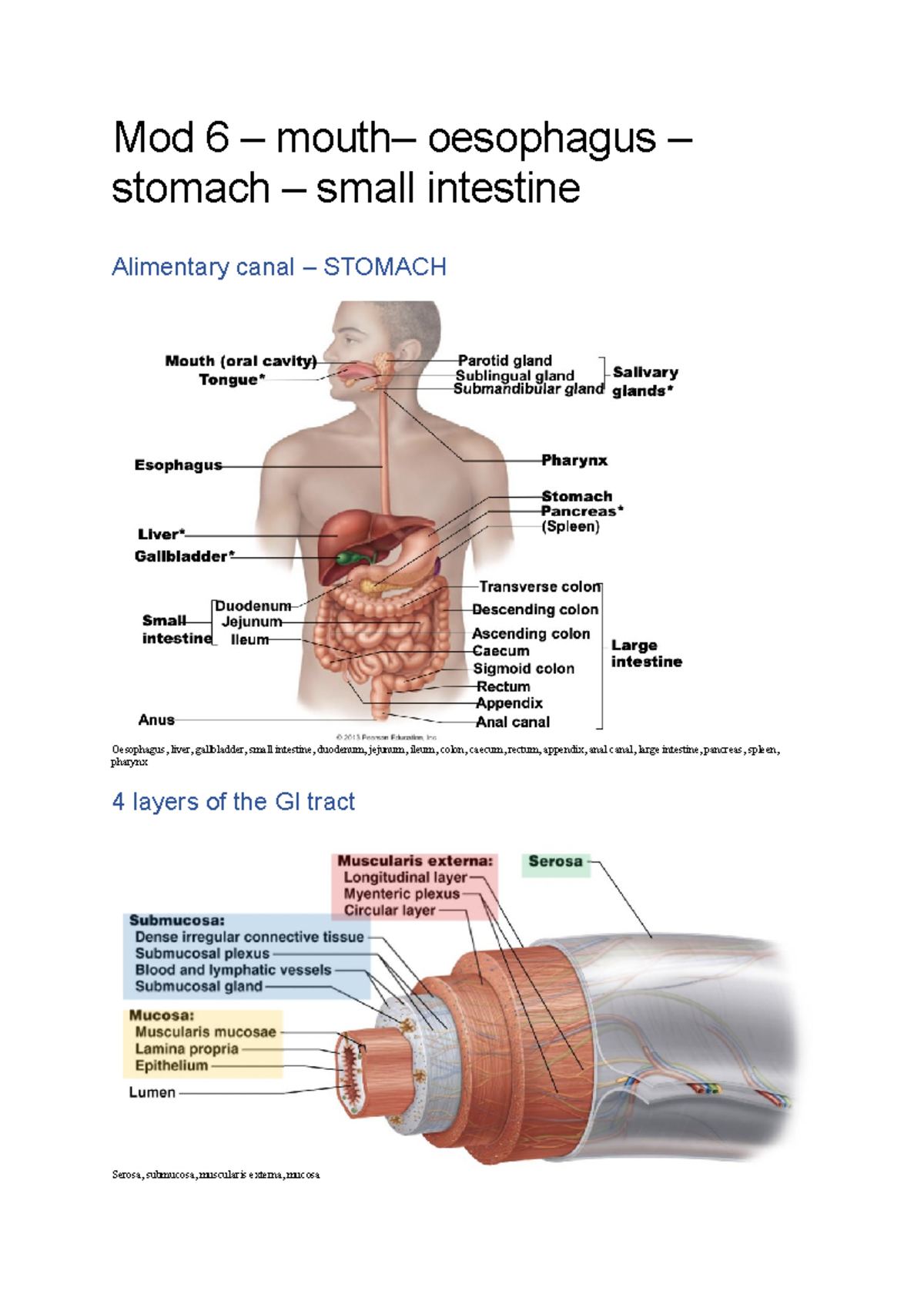 mod-6-these-are-some-relevant-diagrams-needed-for-spot-test-2-in-this