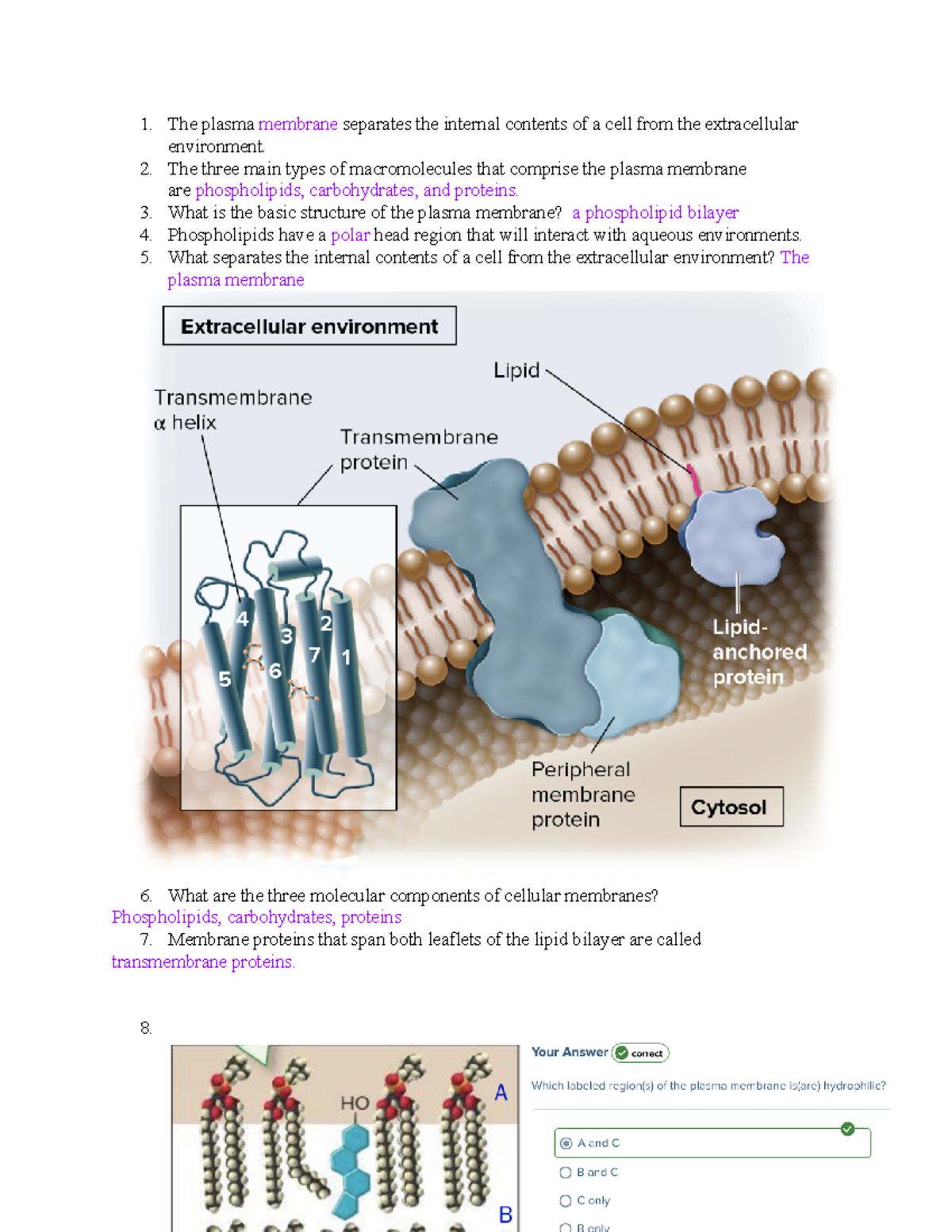 Cell Membrane Structure, Ditki, Medical & Biological Sciences posted a  video to playlist Biochemistry., By Ditki, Medical & Biological Sciences