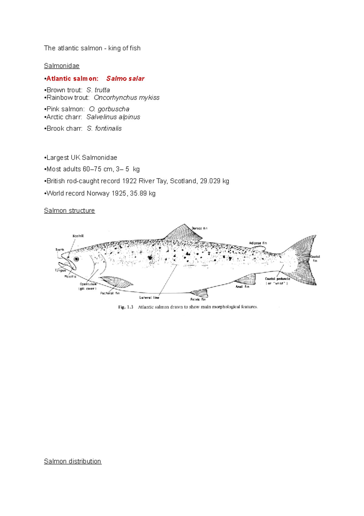 Biodiversity Salmon - The Atlantic Salmon King Of Fish Salmonidae ...