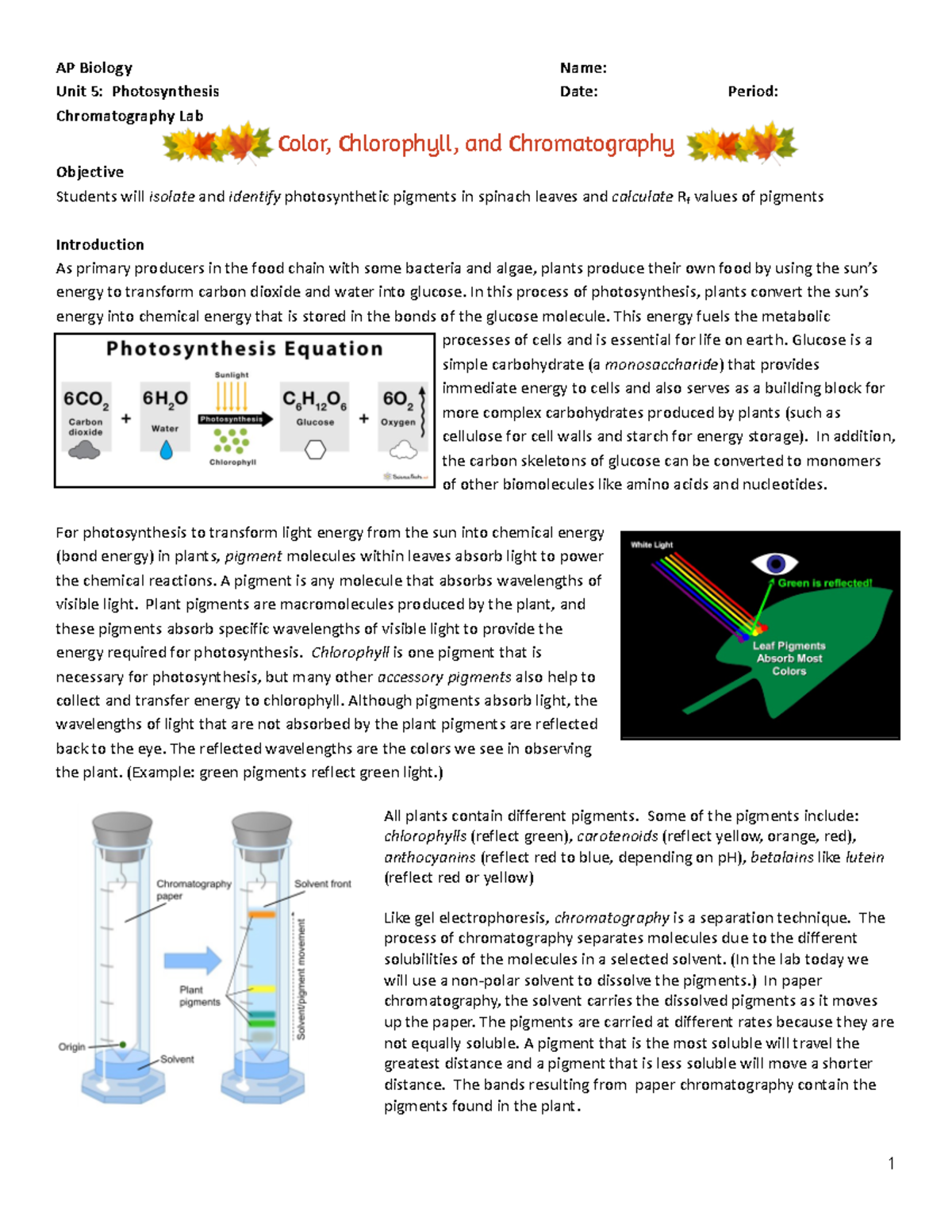 Plant Pigment Chromatography AP Biology Name Unit 5 Photosynthesis