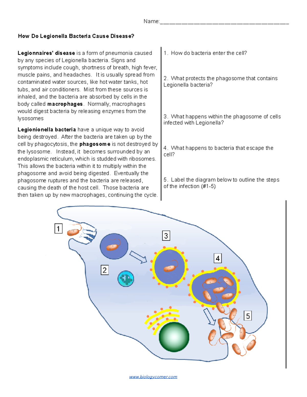 Legionairres Disease Name