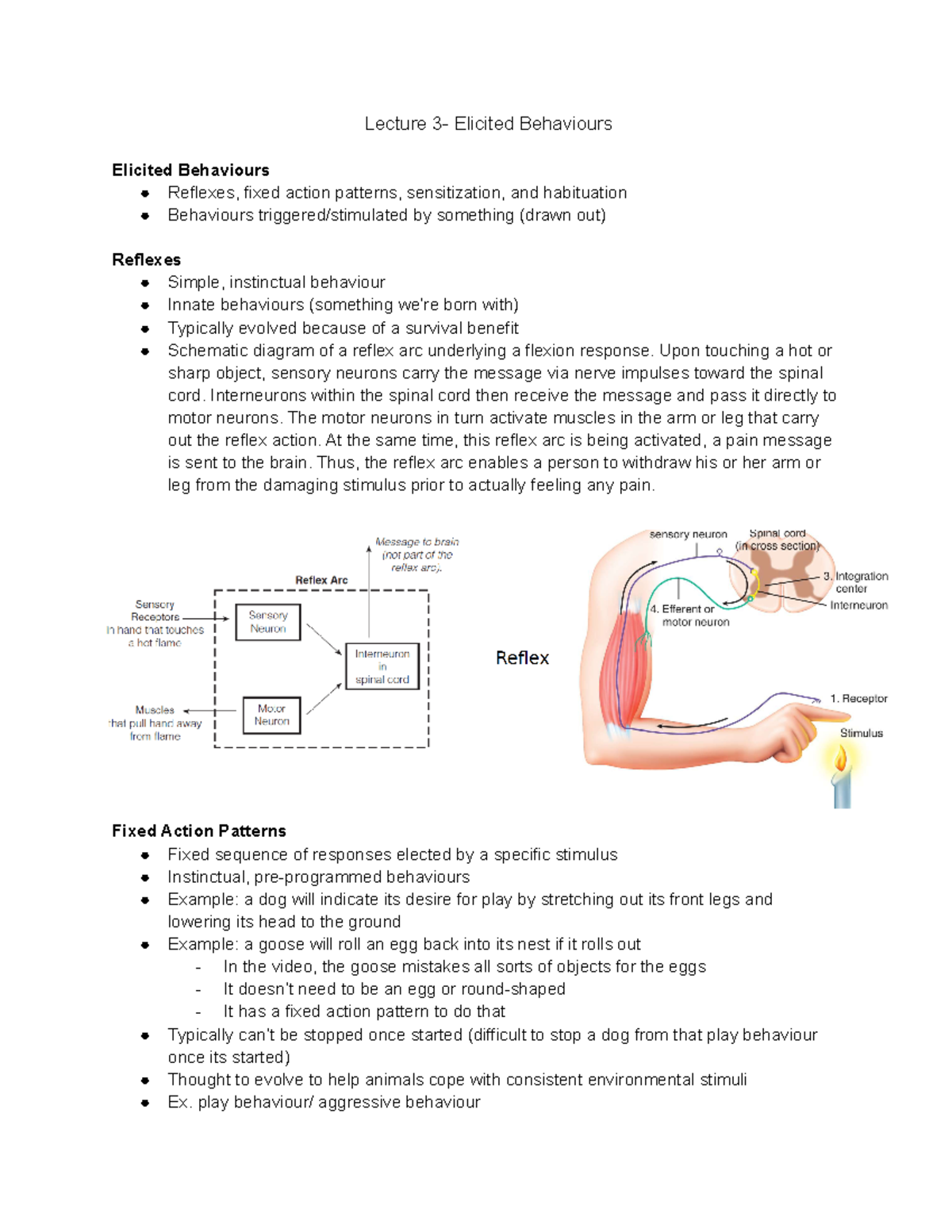 Lecture 3 Notes - Dr. Mandy Wintink - Lecture 3- Elicited Behaviours ...