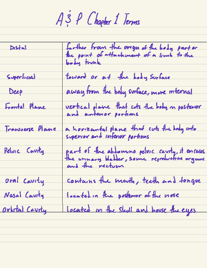 Anatomy And Physiology 1 Exam 1 Flashcards Quizlet - Anatomy And ...