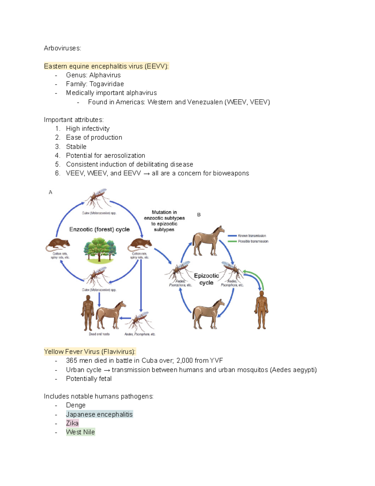 Arboviruses - Eastern equine encephalitis virus and its variations ...