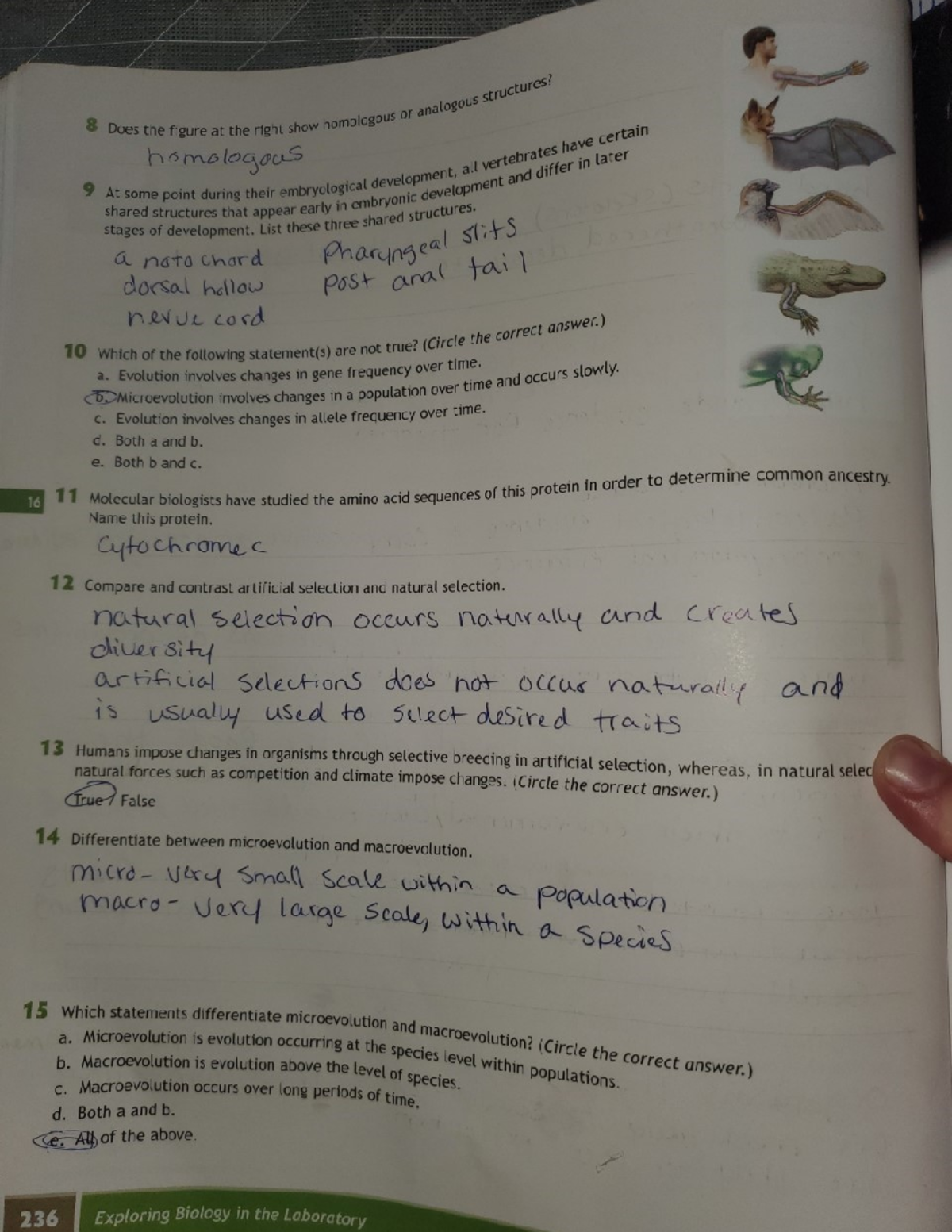 Bio8 - lab notebook - BIOL 171 - Studocu