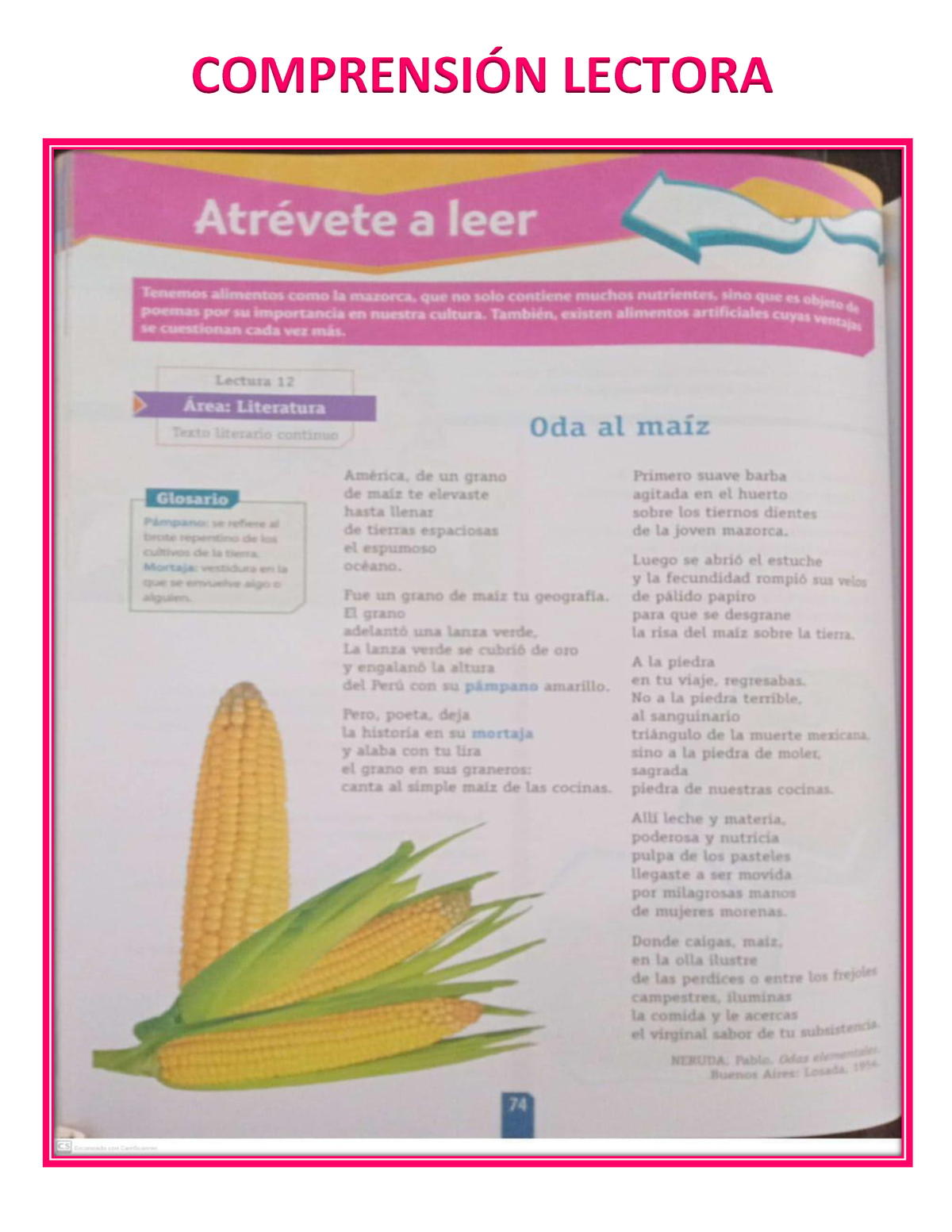 Actividad 2 III Período Comprensión Lectora - Pedagogia - COMPRENSI”N ...