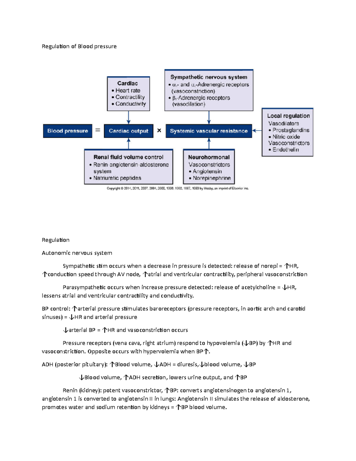 Regulation of Blood pressure - Regulation of Blood pressure Regulation ...