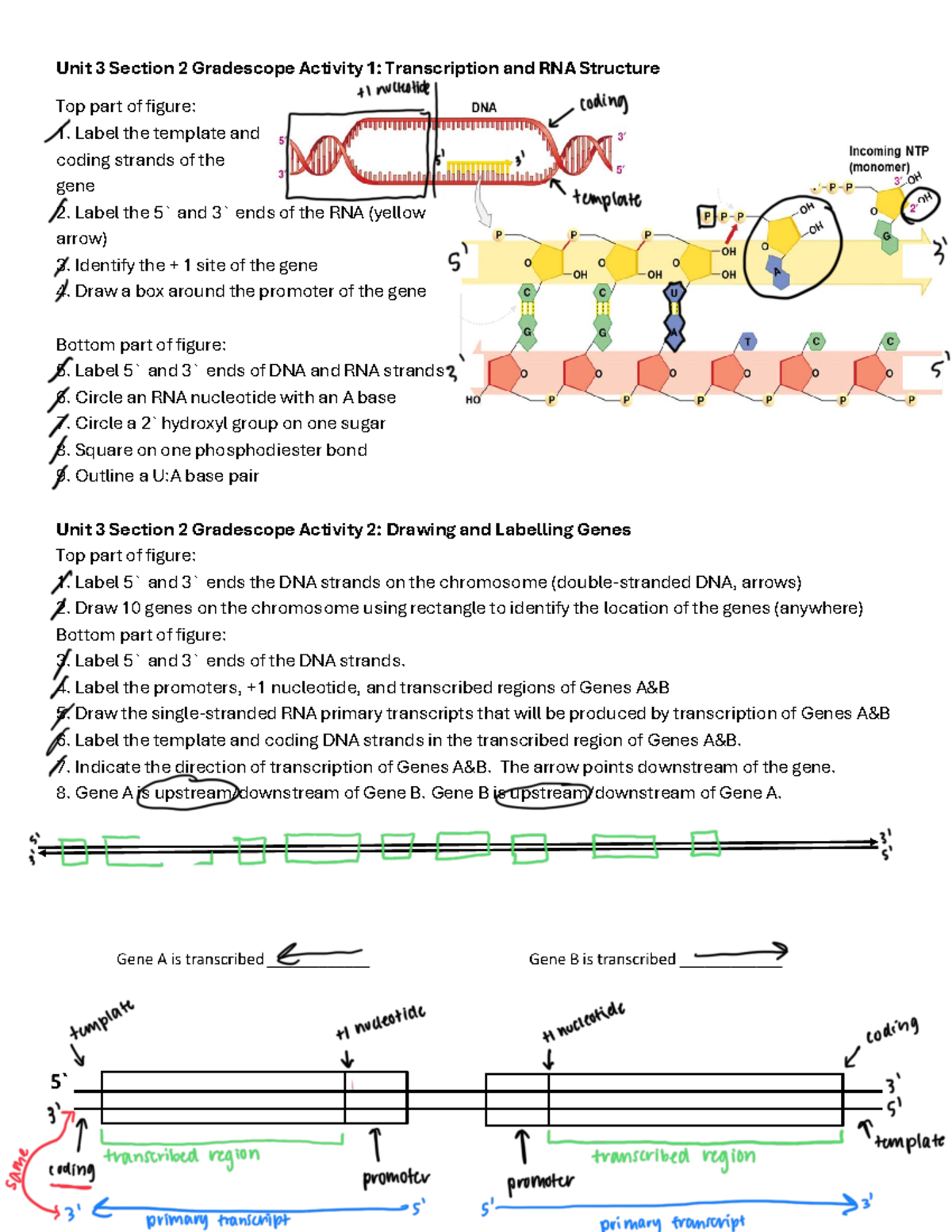 Unit 3 Sections 2 and 3 Gradescope - Unit 3 Section 2 Gradescope ...