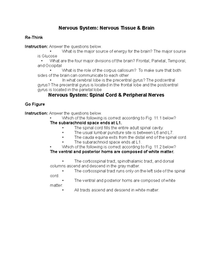 MOA110 Wk2 Assn Bbrown 01:20:2024 - Chapter 3 Legal Principles Tort Law ...