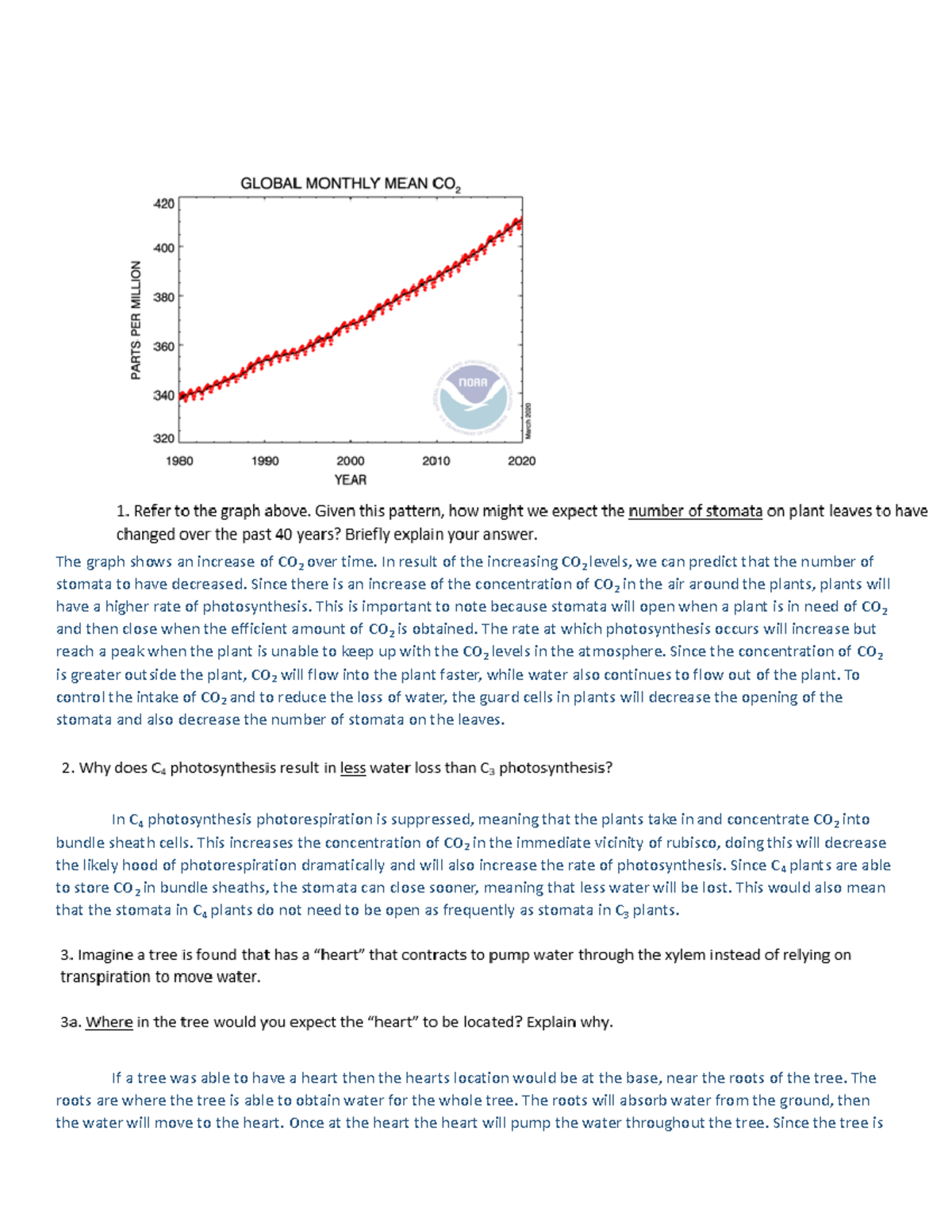 Plant structure and function - The graph shows an increase of CO 2 over ...