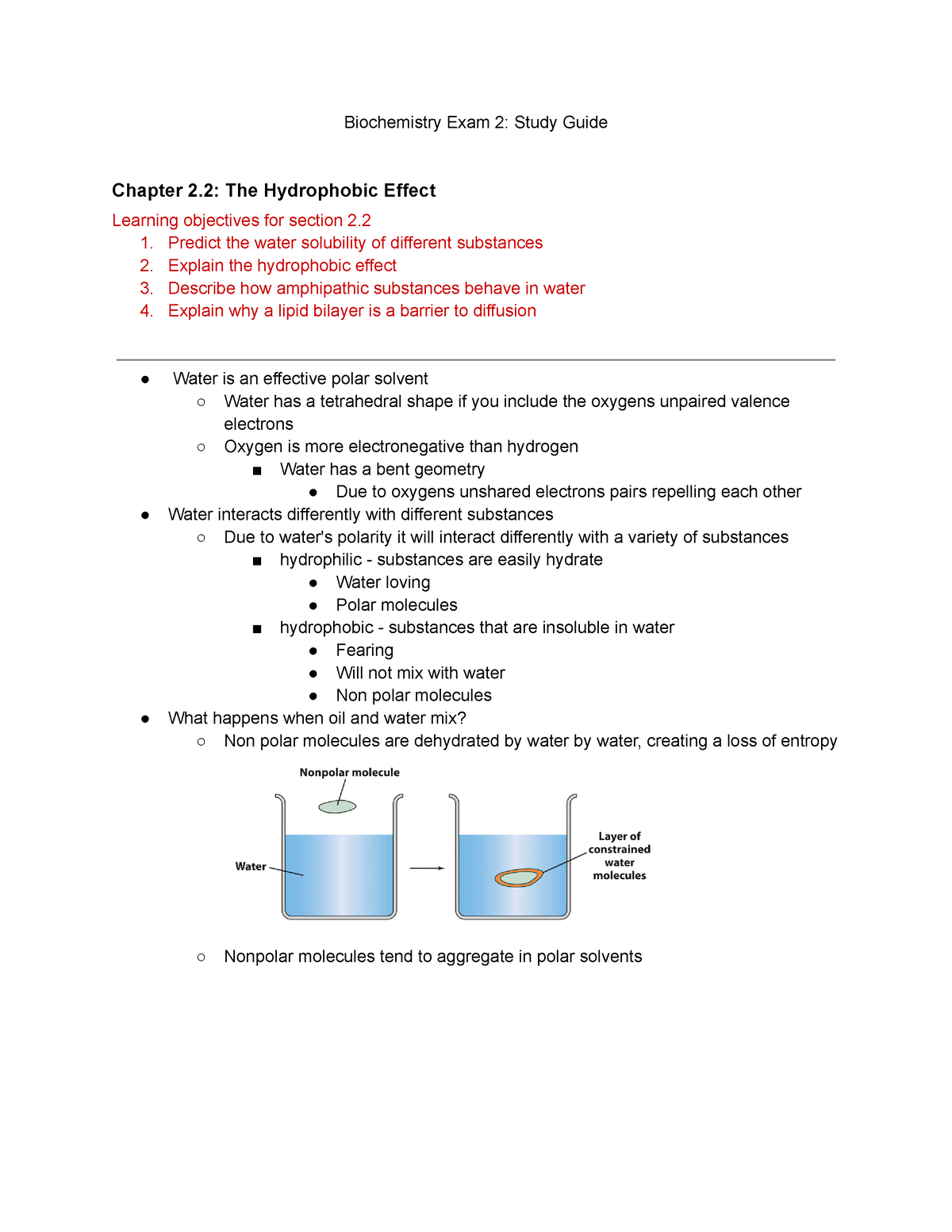 Biochemistry Exam 2 Study Guide - Biochemistry Exam 2: Study Guide ...