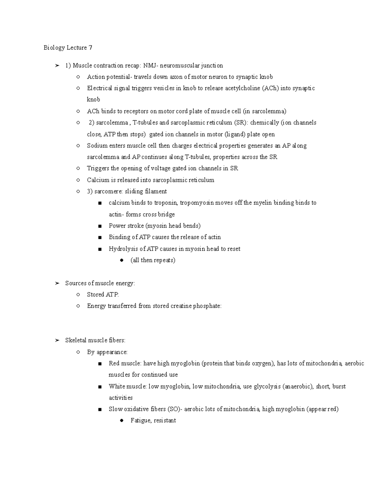 Bio Lecture 7 - Detailed - Biology Lecture 7 1) Muscle contraction ...