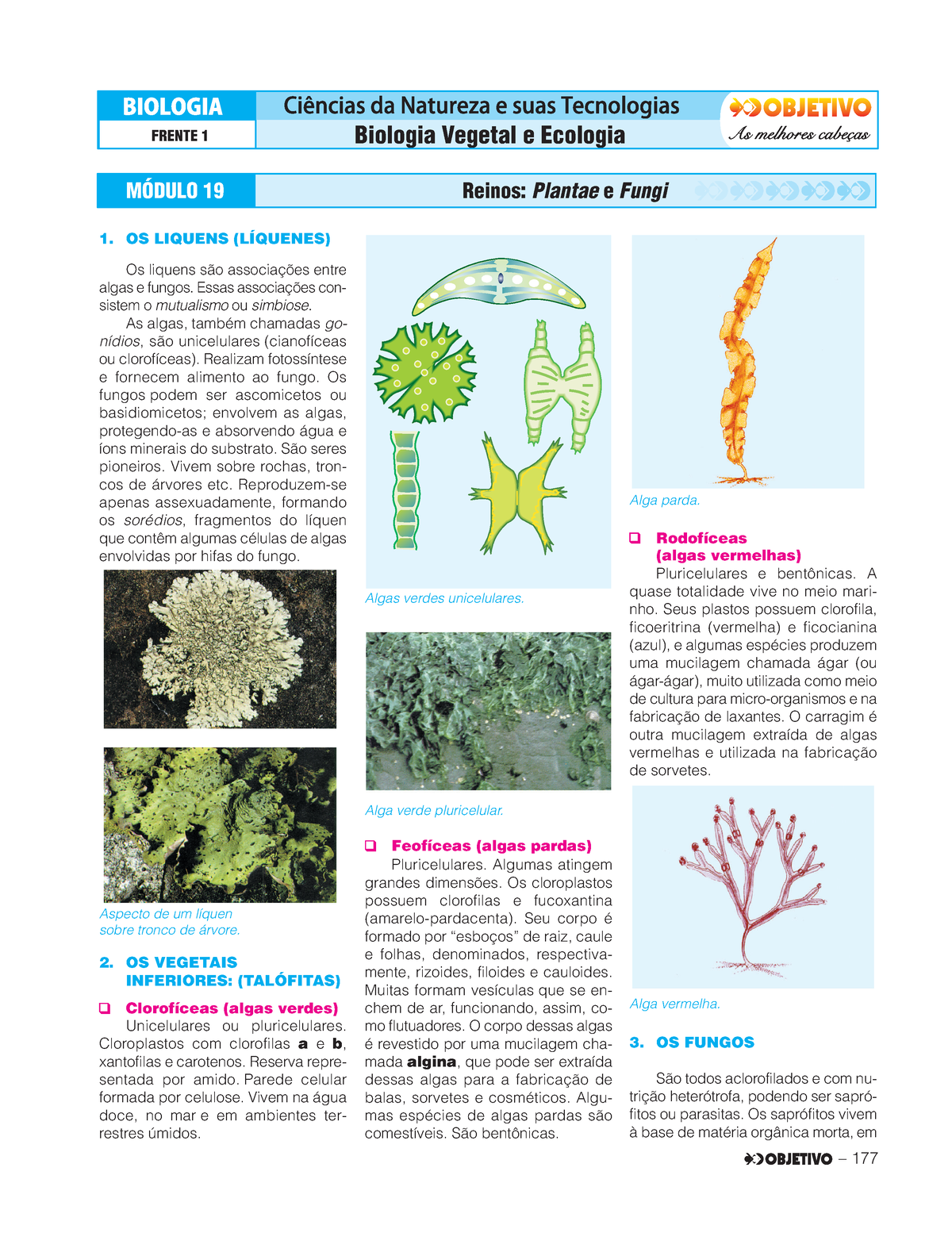 3.1. Biologia - Teoria - Livro 3 - FRENTE 1 Biologia Vegetal E Ecologia ...