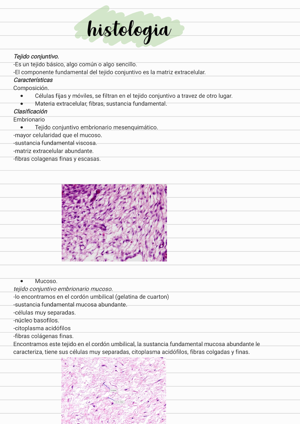 Histología 17032023 230317 104120 - Histologia - Studocu