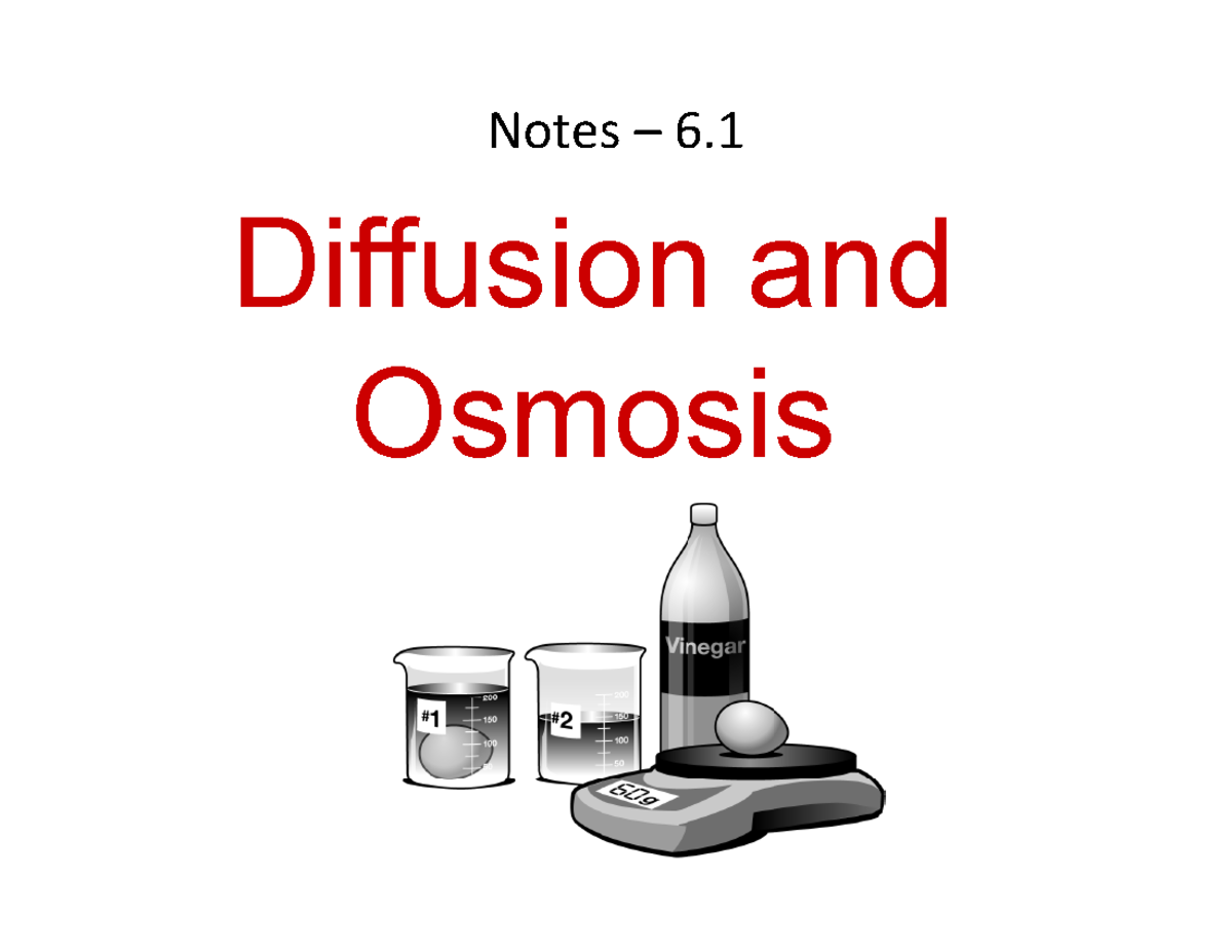 Osmosis Vs Diffusion Ppt Factory Stores | gbu-presnenskij.ru