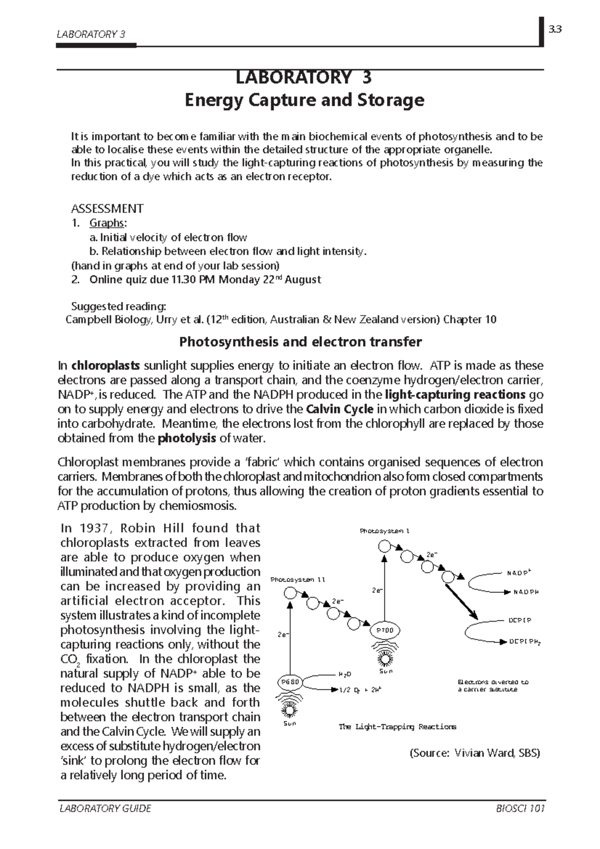 Pirnt - Lab 3 Biosci 106 - LABORATORY GUIDE BIOSCI 101 LABORATORY 3 ...