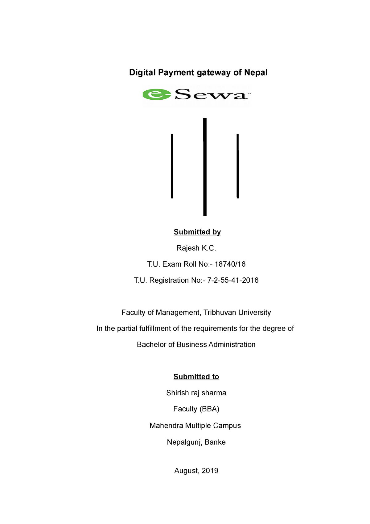 essay on digital payment system in nepal