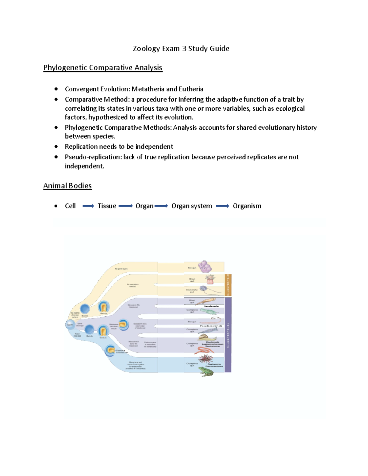 Zoology Exam 3 Study Guide Zoology Exam 3 Study Guide