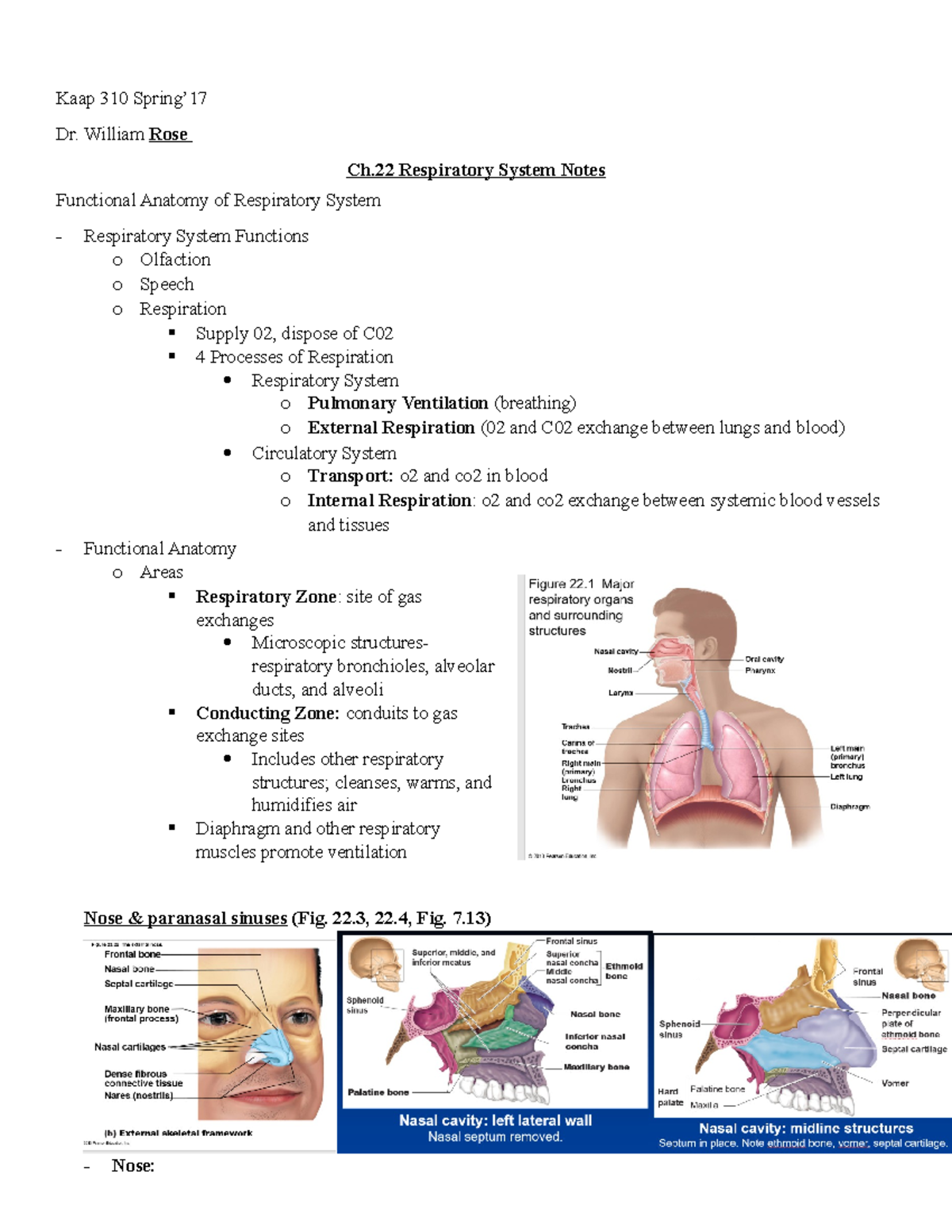 Ch 22 Respiratory System - Kaap 310 Spring’ Dr. William Rose Ch ...