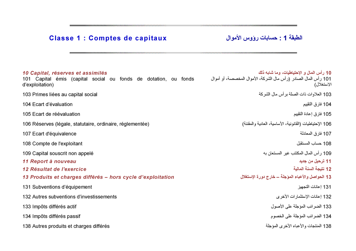 business plan en arabe pdf