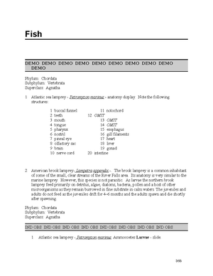 Lab+3+-+Porifera+and+Cnidaria+student copy - Porifera and Cnidaria A ...