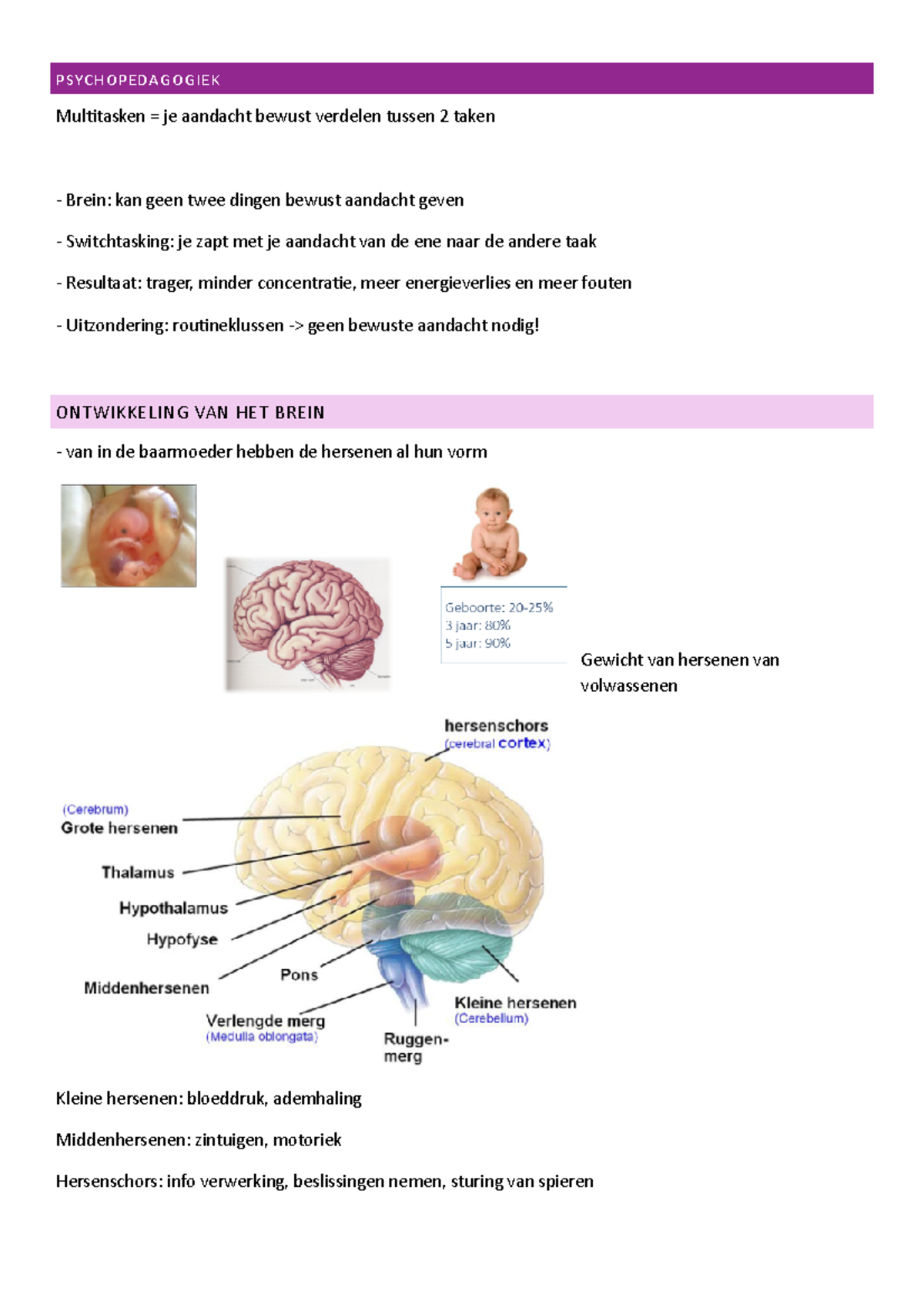 Psychopedagogiek - PSYCHOPEDAGOGIEK Multitasken = je aandacht bewust ...