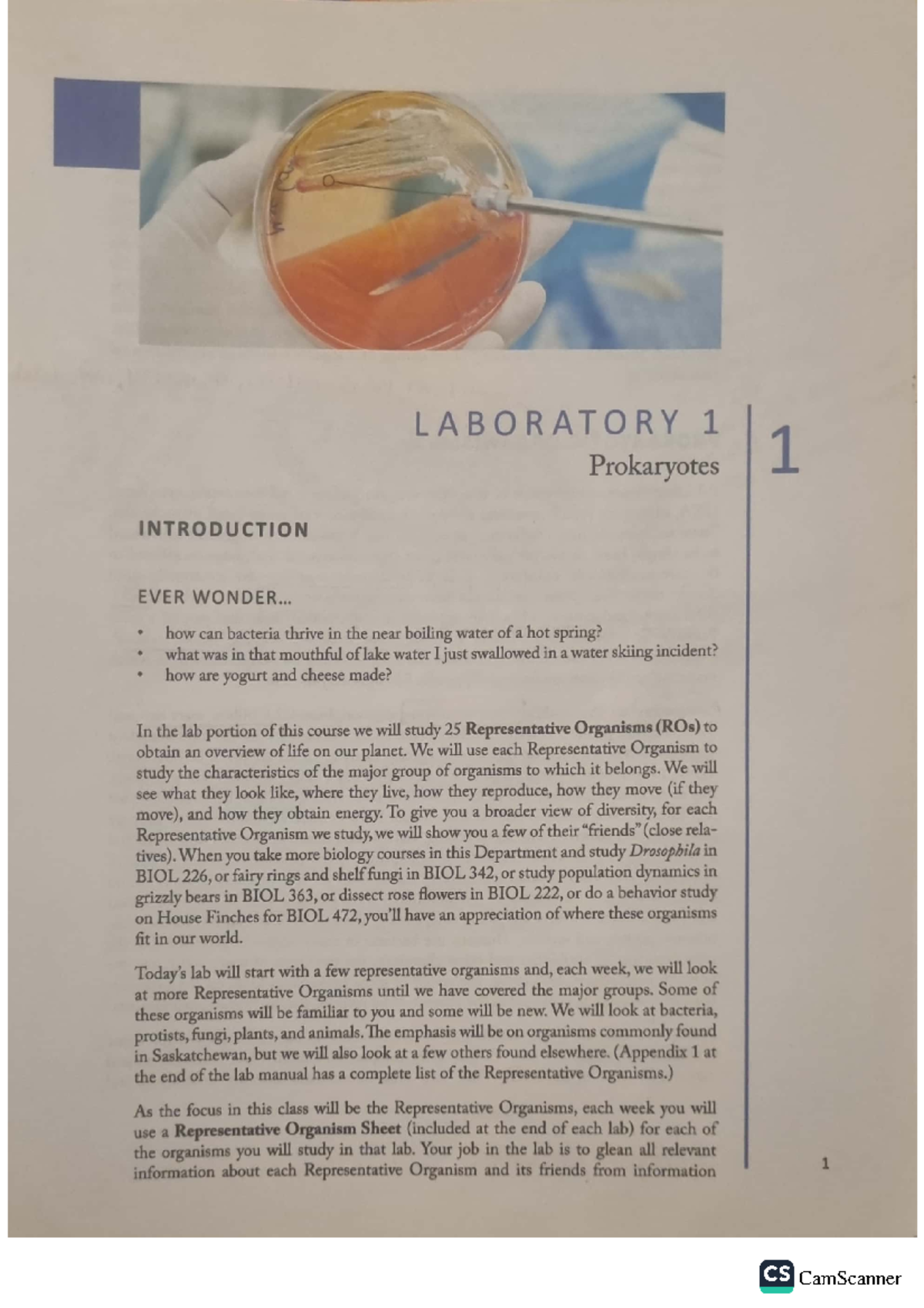 Lab Manual Full Solved Biol Studocu