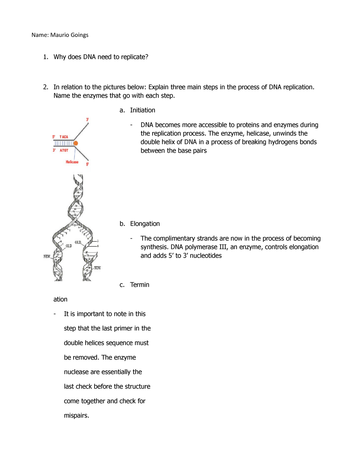 dna-replication-worksheet-1-name-maurio-goings-why-does-dna-need-to