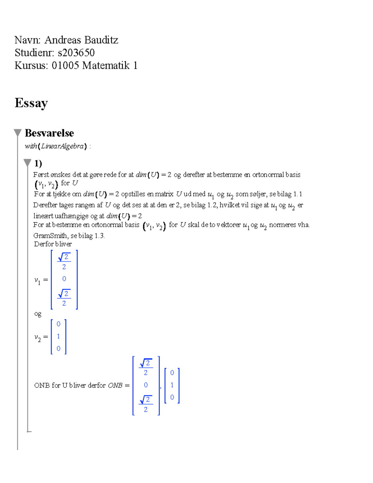 Eksamens Essay Rapport Skrivning - Navn: Andreas Bauditz Studienr: S ...