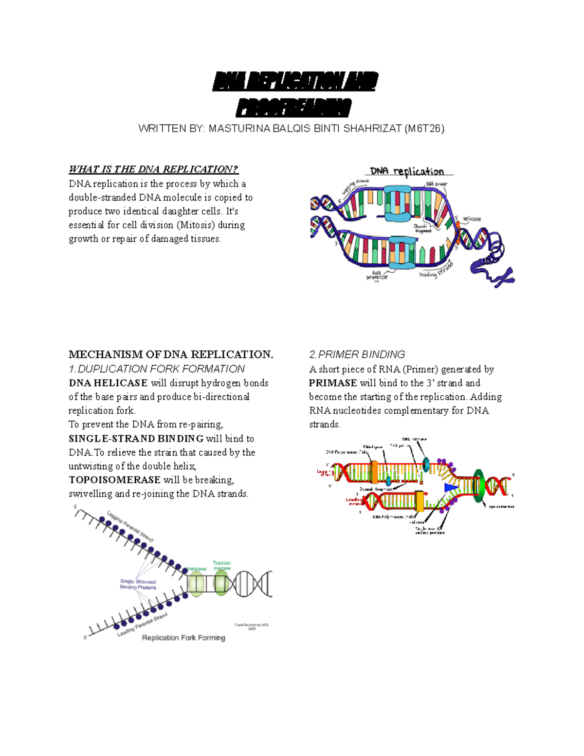 DNA Replication AND Proofreading DNA REPLICATION AND PROOFREADING