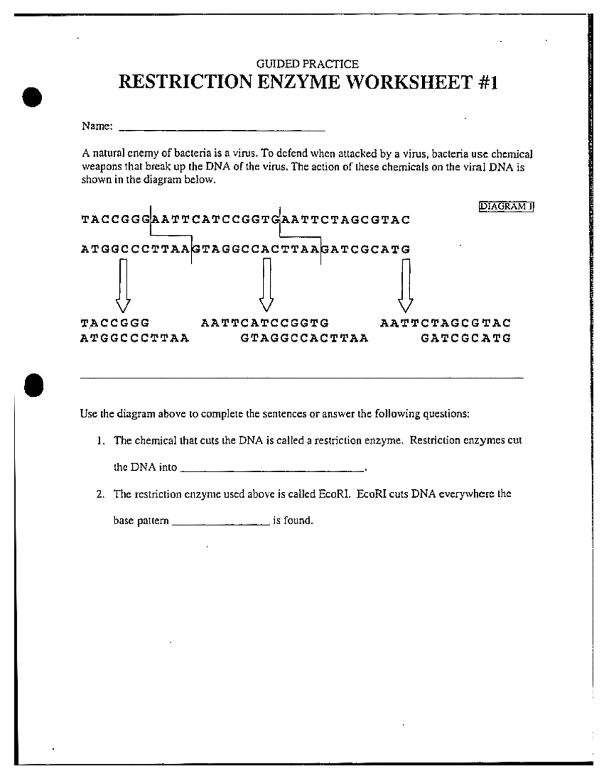 04 restriction enzyme activity - Name: RESTRICTION ENZYME WORKSHEET shown in the diagram below - Studocu 04-restriction-enzyme-activity-name-restriction-enzyme-worksheet-shown-in-the-diagram-below-studocu