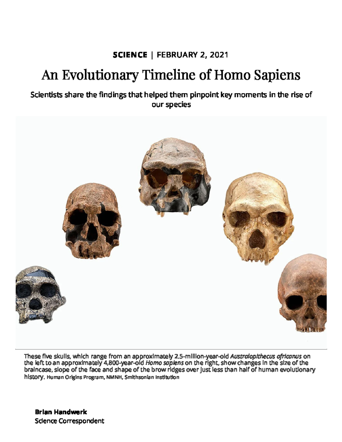 An Evolutionary Timeline of Homo Sapiens Science Smithsonian Magazine ...