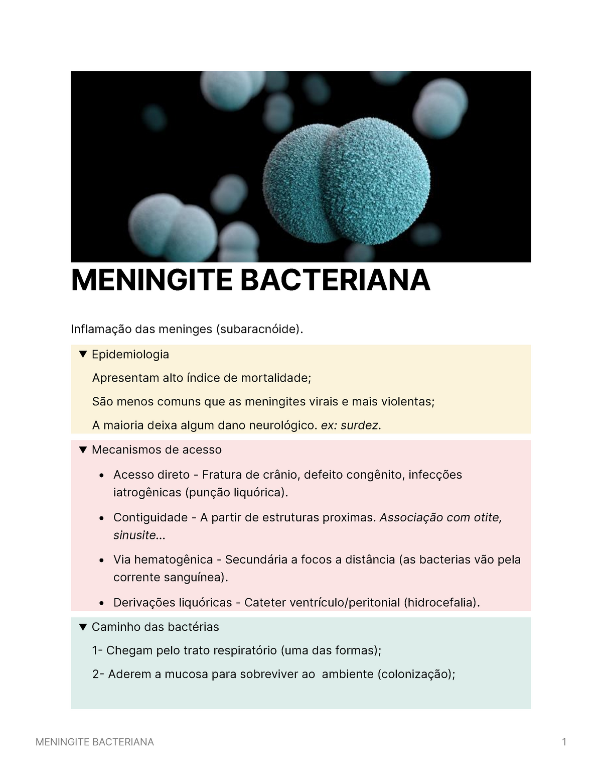 Meningite Bacteriana Meningite Bacteriana Inflamação Das Meninges Subaracnóide 9272