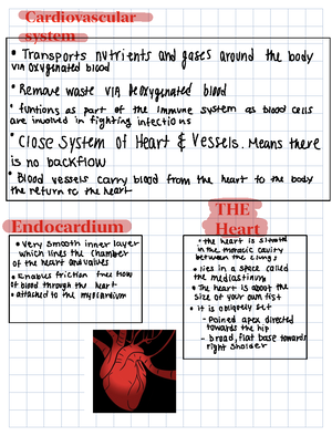 Blood notes - Class notes 419 131 4 Blood River of life A got Plasma 99 ...
