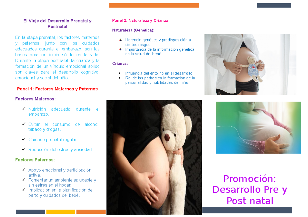 Triptico - examenes - El Viaje del Desarrollo Prenatal y Postnatal En ...