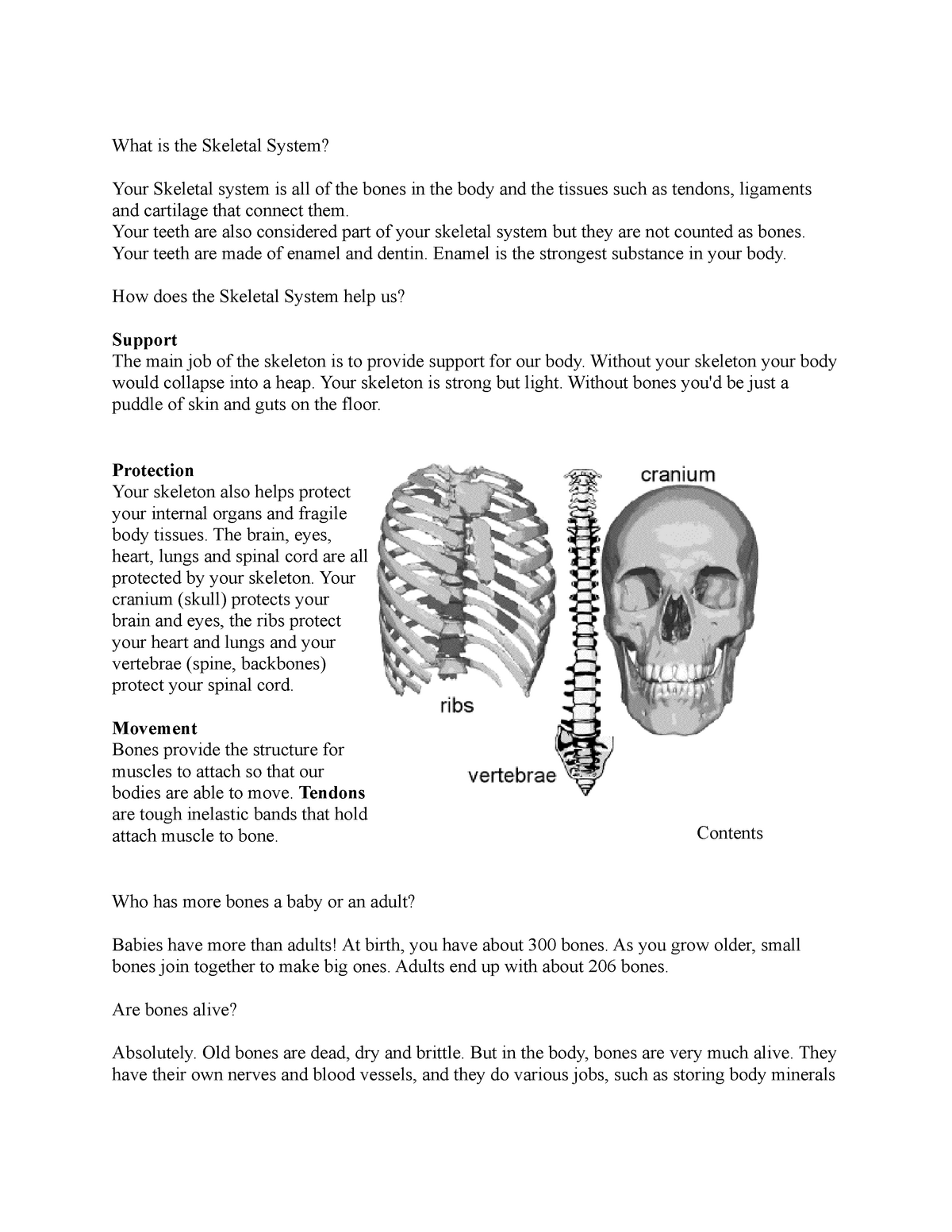 skeletal-system-anatomy-what-is-the-skeletal-system-your-skeletal