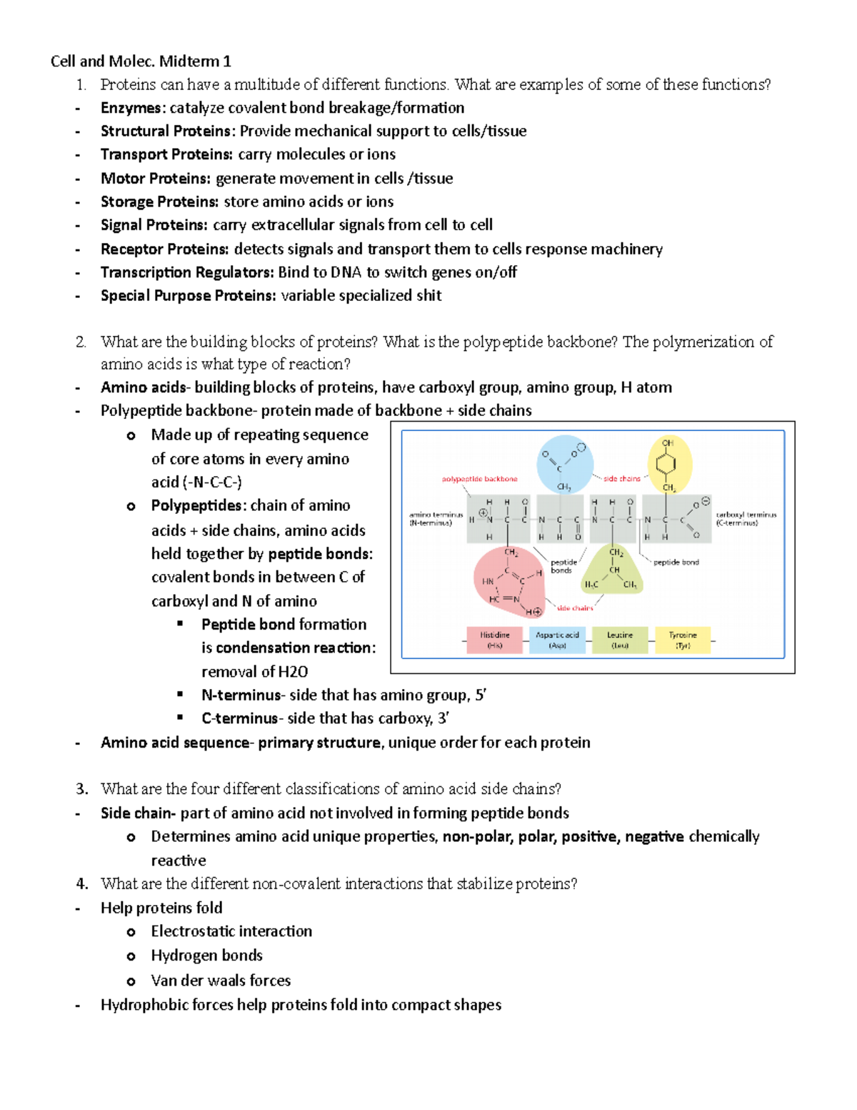 Cell and Molec - study guides for midterm 1 - Cell and Molec. Midterm 1 ...