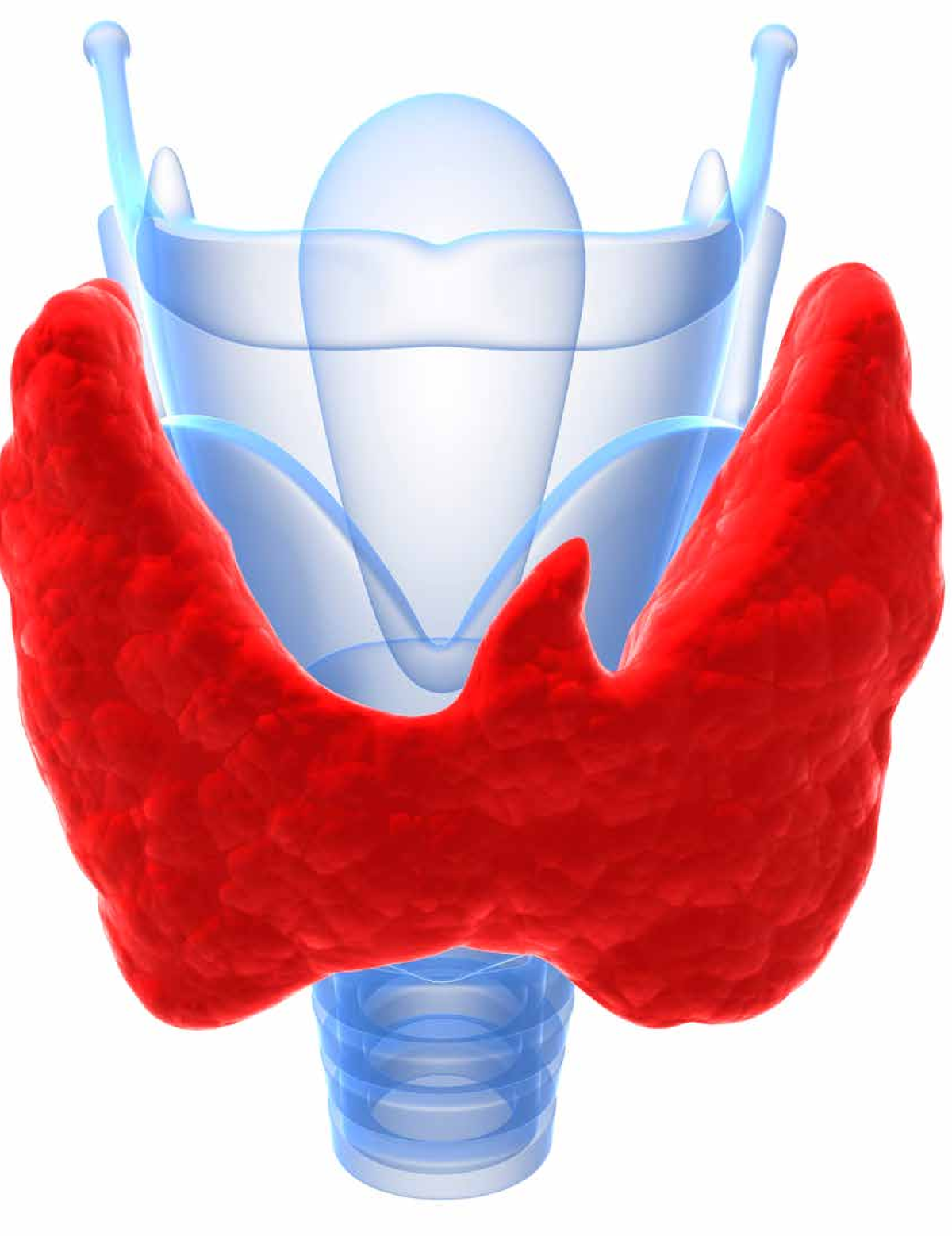 thyroidectomy-total-august-2014-the-surgical-technologist-351