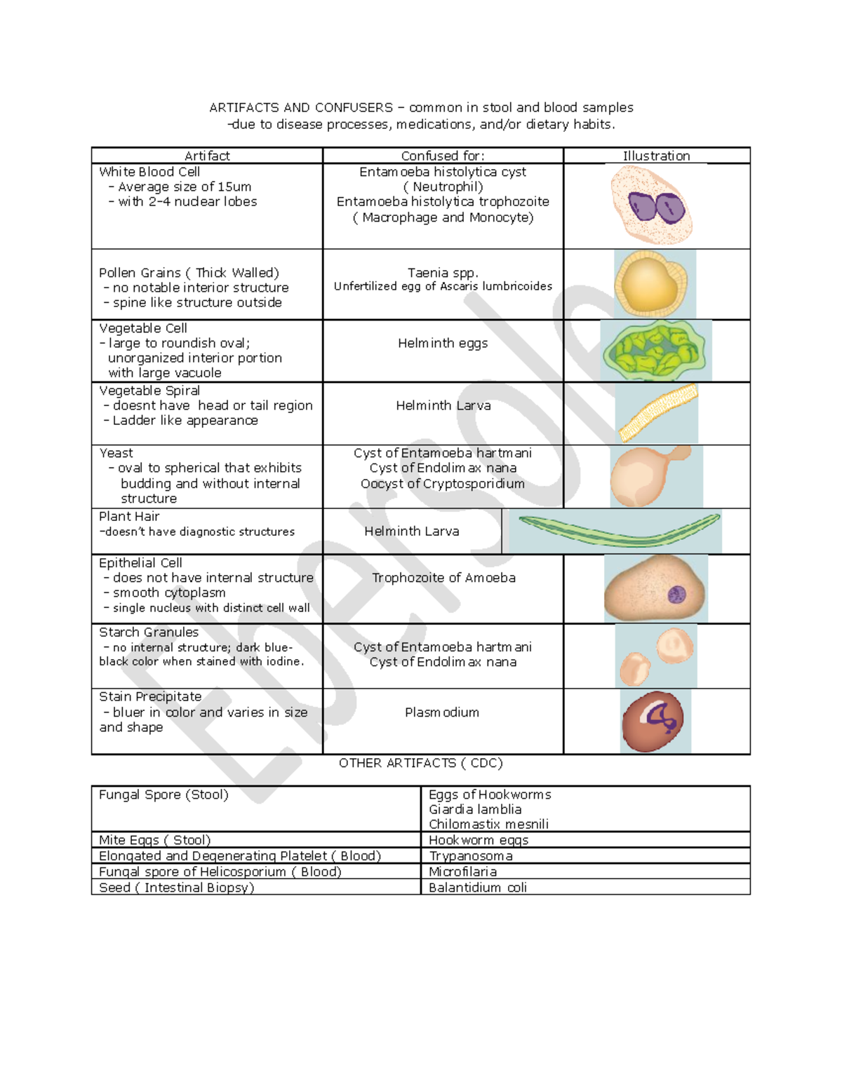 parasitology-atlas-artifacts-and-confusers-common-in-stool-and-blood