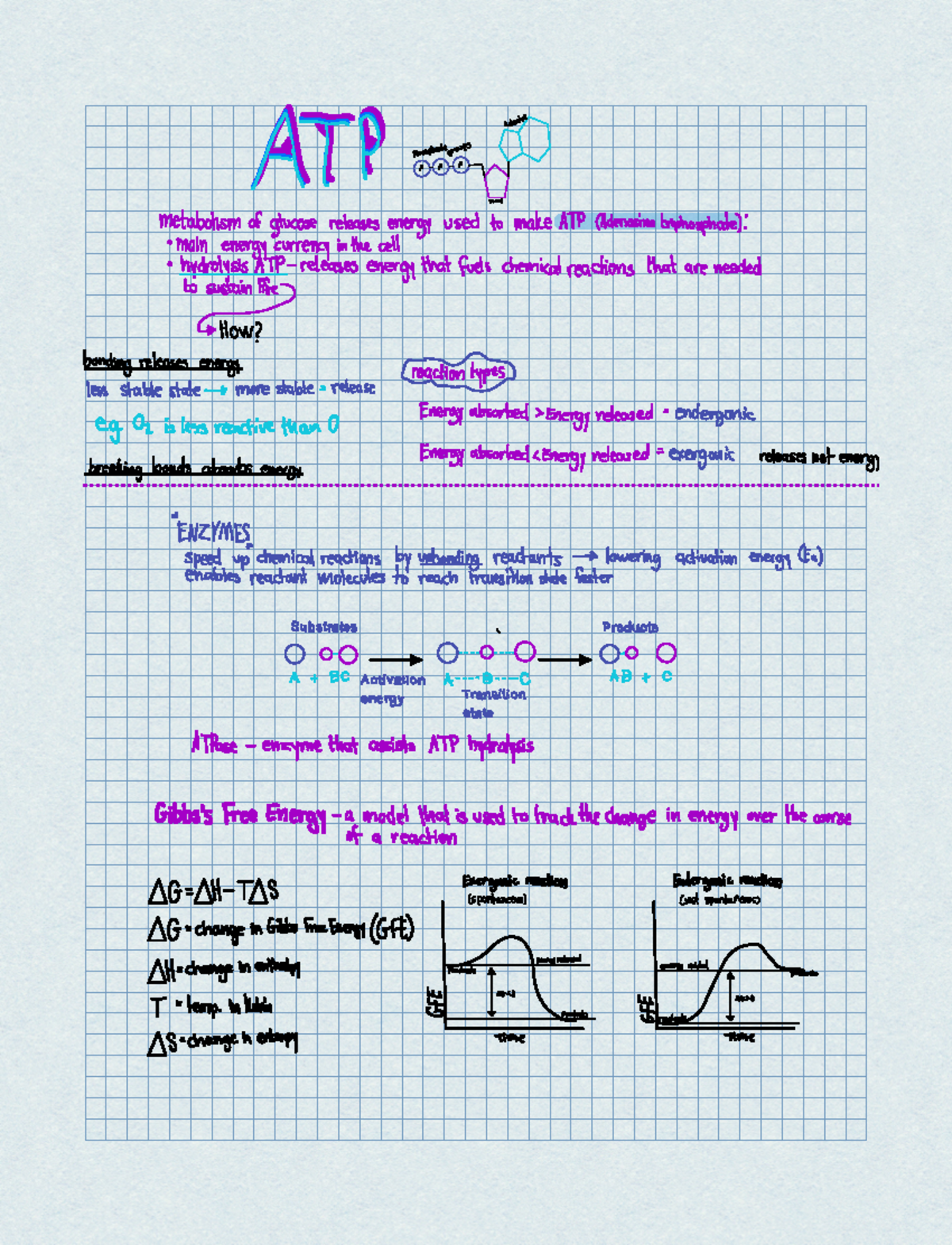 ATP Bio 113. - Professor Sara Marcus Helpful notes with charts and ...