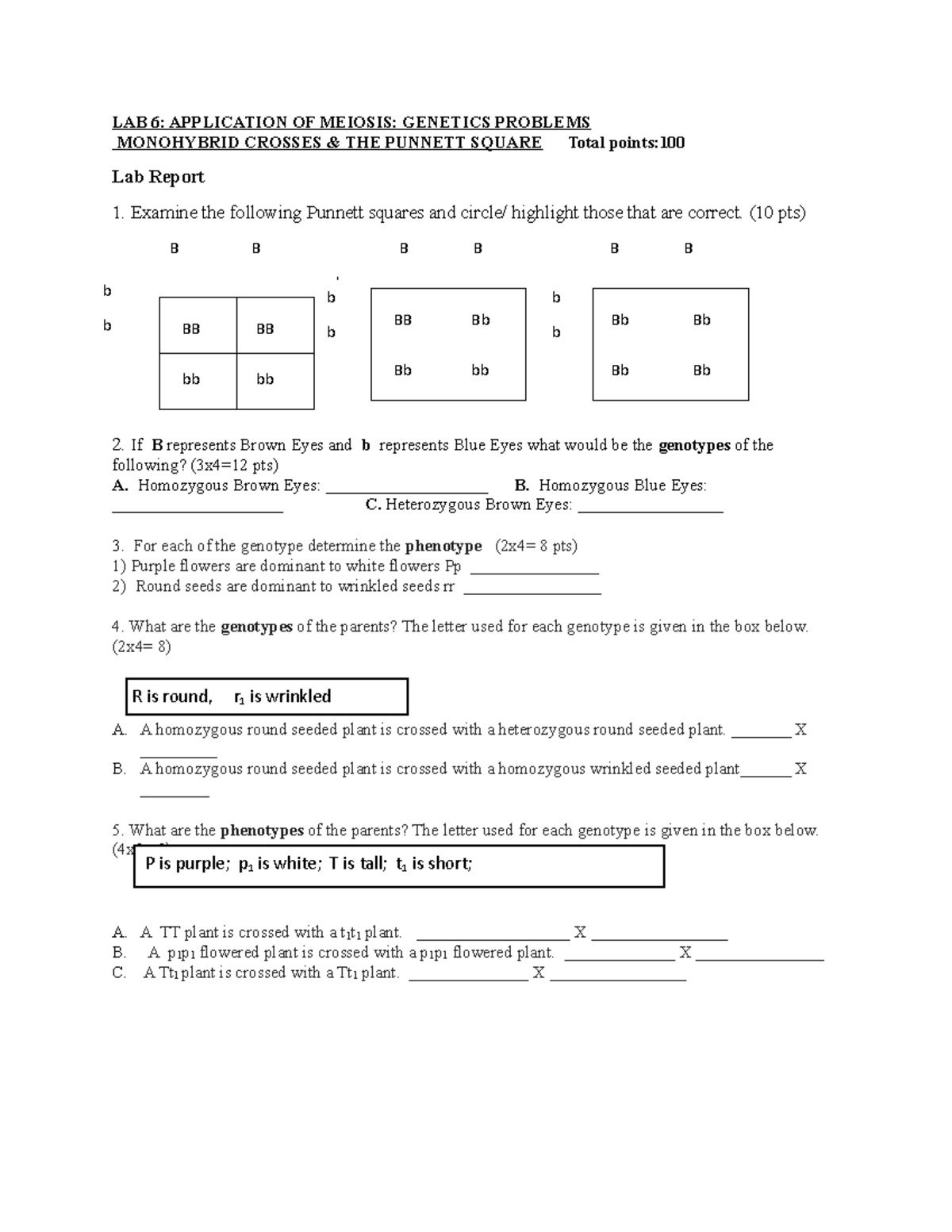 BIO 110L Lab 6 Report Assignment BB BB Bb Bb BB Bb Bb Bb Bb Bb Bb 