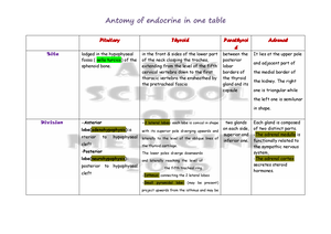 Anatomy Special Senes - Chapter “3” Anatomy Of Special Sense 1- Extra ...