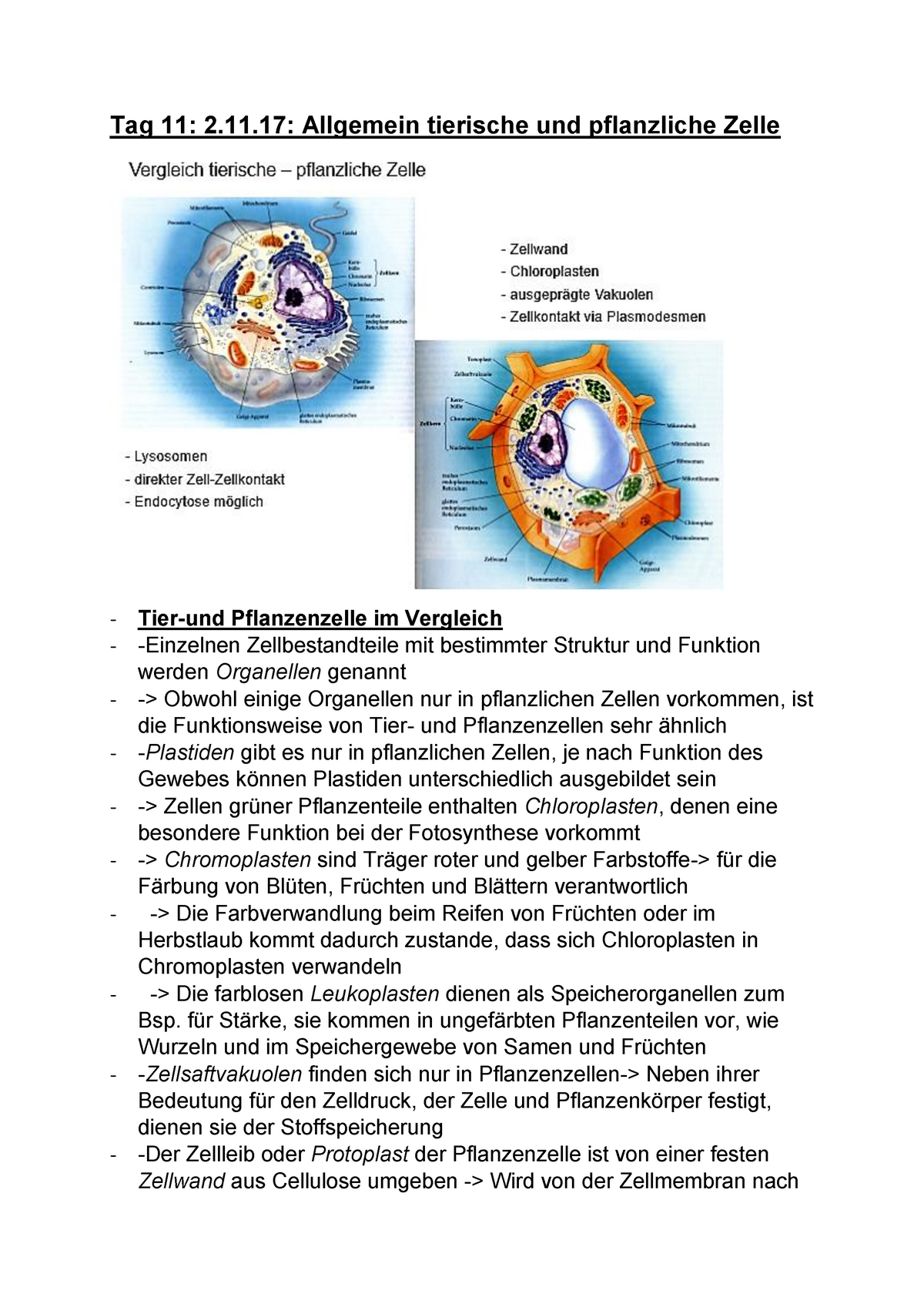 Biologie Zusammenfassung Tag 11 2 11 17 Allgemein Tierische Und Pflanzliche Zelle Tier Und Studocu