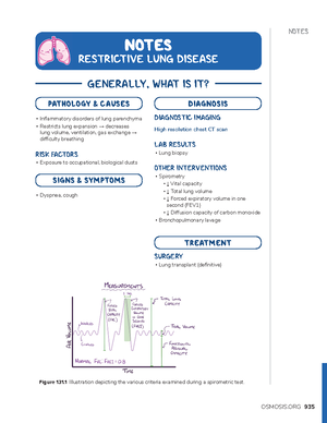 Pneumonia - Important notices - respiratory system - Studocu