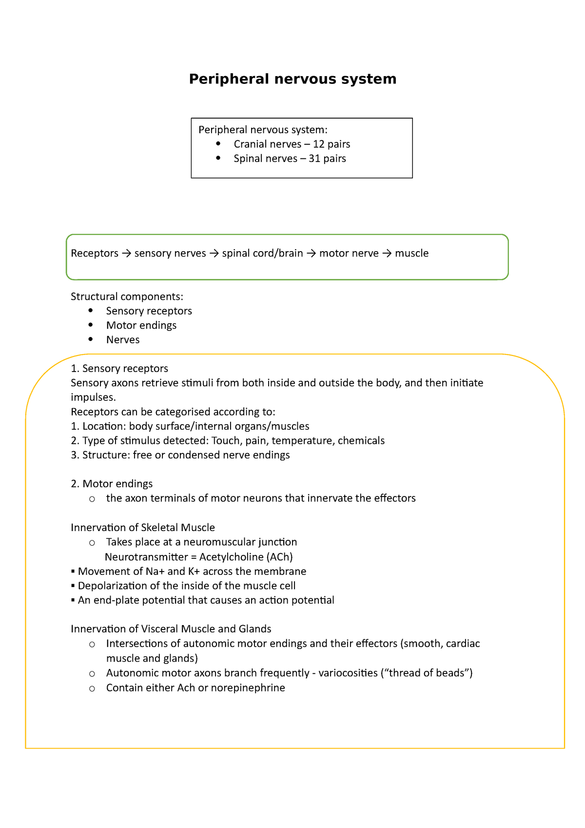 Peripheral Nervous System - Peripheral Nervous System Receptors → ...