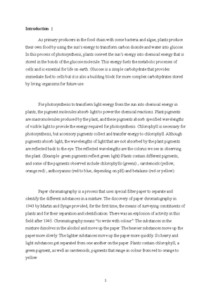 experiment biocatalysis lab report